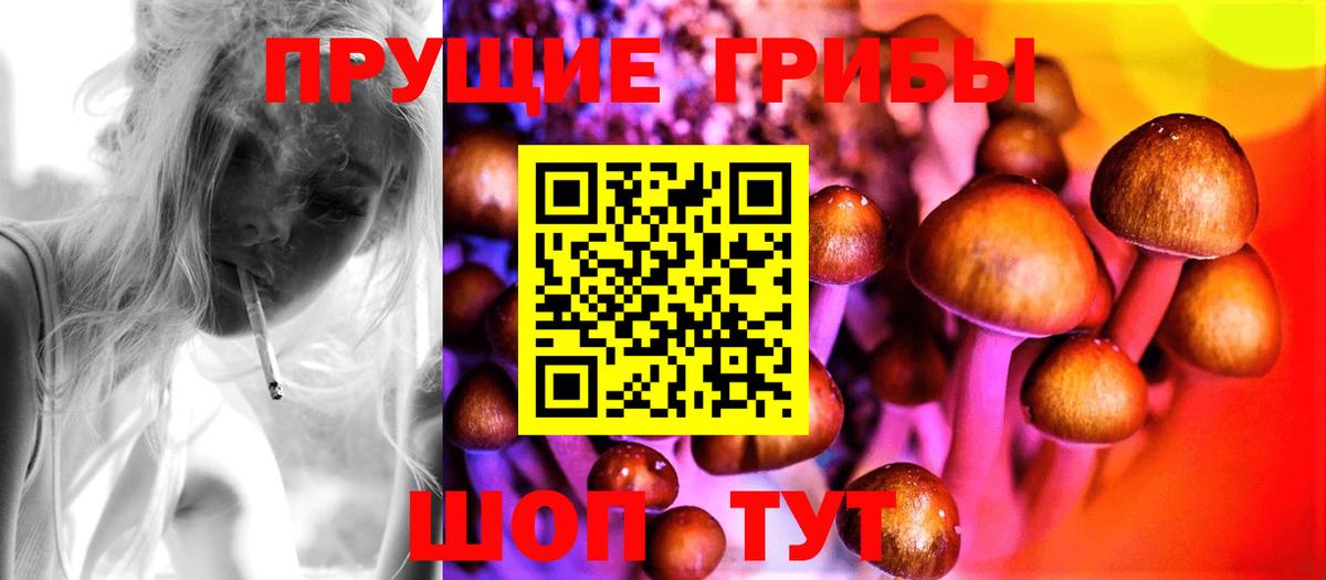 Псилоцибиновые грибы GOLDEN TEACHER Моздок