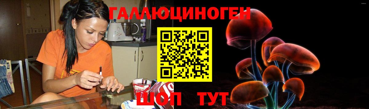 сколько стоит  Псилоцибиновые грибы ЛСД  Вход с VPN  Моздок 